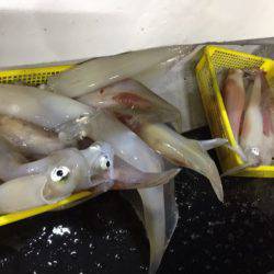 第二龍勢丸 釣果