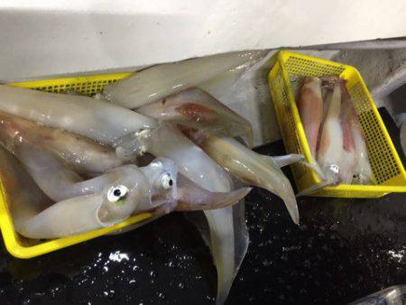 第二龍勢丸 釣果