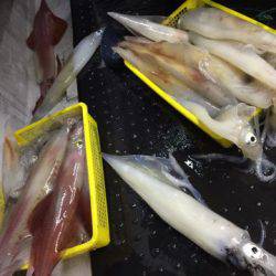 第二龍勢丸 釣果