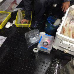 第二龍勢丸 釣果