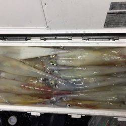 第二龍勢丸 釣果