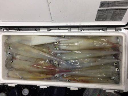 第二龍勢丸 釣果