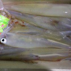 第二龍勢丸 釣果