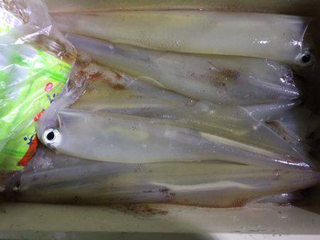 第二龍勢丸 釣果