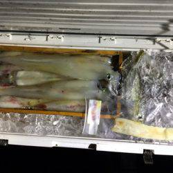 第二龍勢丸 釣果