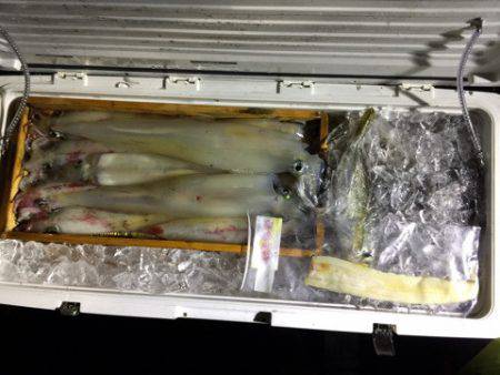 第二龍勢丸 釣果