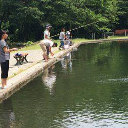 白州トラウトフィッシングエリア　シルフ 釣果