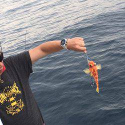 ＴＡＲＯＭＡＲＵ 釣果