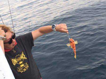 ＴＡＲＯＭＡＲＵ 釣果