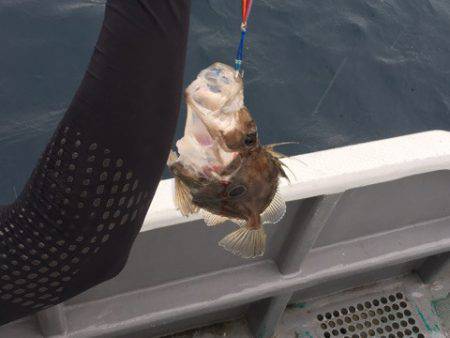 ＴＡＲＯＭＡＲＵ 釣果