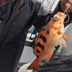 ＴＡＲＯＭＡＲＵ 釣果