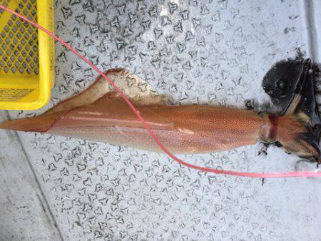 第二龍勢丸 釣果