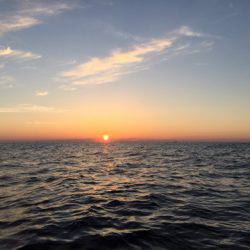 第二龍勢丸 釣果