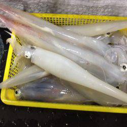 第二龍勢丸 釣果