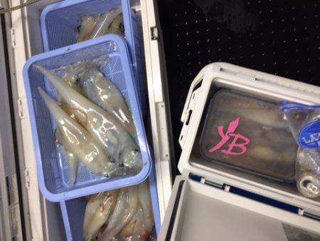 第二龍勢丸 釣果