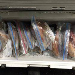 第二龍勢丸 釣果