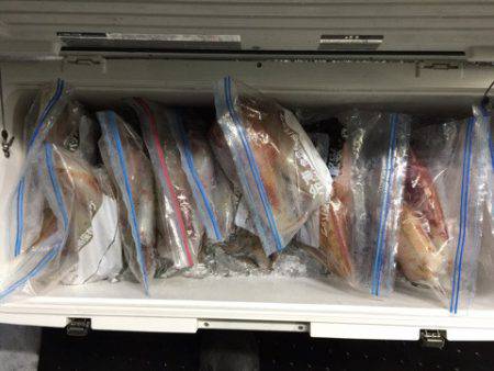 第二龍勢丸 釣果