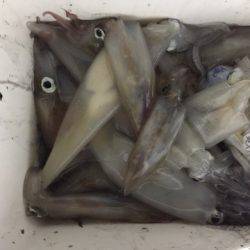 第二龍勢丸 釣果