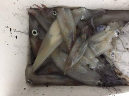 第二龍勢丸 釣果