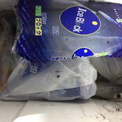 第二龍勢丸 釣果