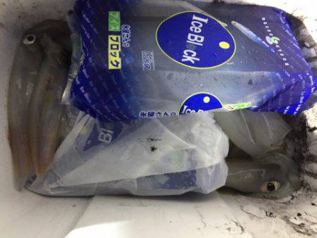 第二龍勢丸 釣果