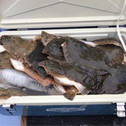 第二 つれたか丸 釣果