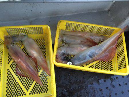 第二龍勢丸 釣果