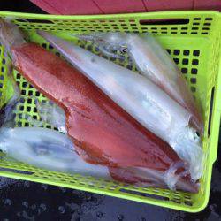 第二龍勢丸 釣果