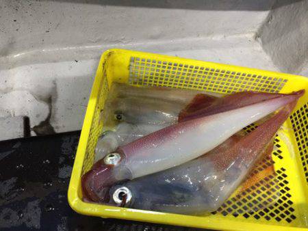 第二龍勢丸 釣果