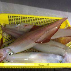 第二龍勢丸 釣果