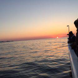 第二龍勢丸 釣果