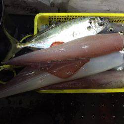 第二龍勢丸 釣果