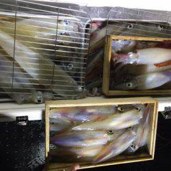 第二龍勢丸 釣果