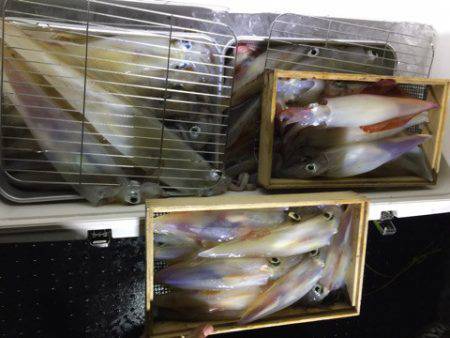 第二龍勢丸 釣果