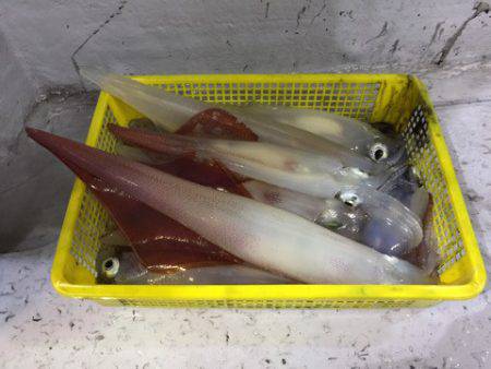 第二龍勢丸 釣果