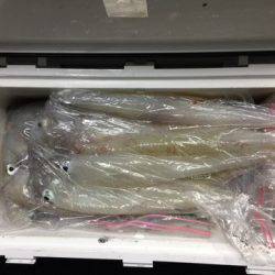 第二龍勢丸 釣果