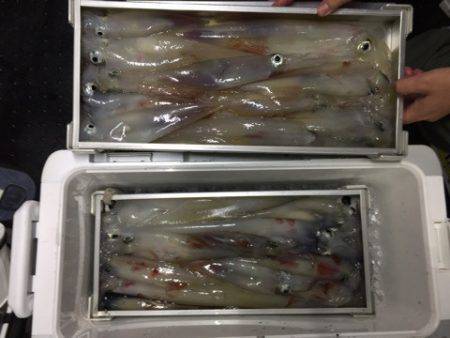 第二龍勢丸 釣果