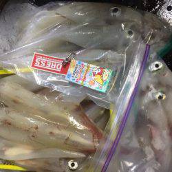 第二龍勢丸 釣果