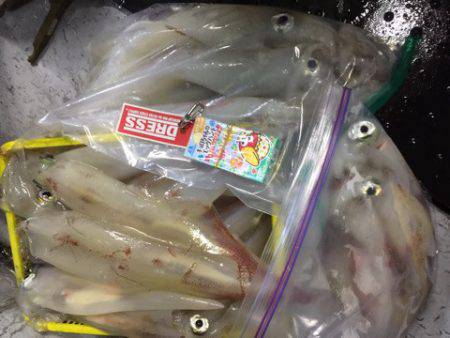 第二龍勢丸 釣果