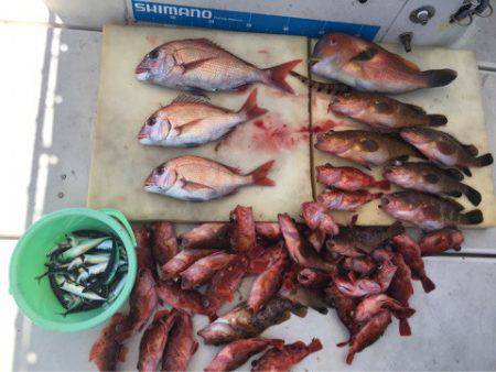 末広丸(熊本) 釣果