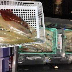 第二龍勢丸 釣果