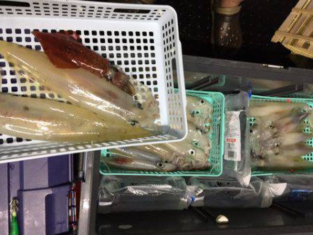 第二龍勢丸 釣果