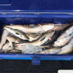 第二 つれたか丸 釣果