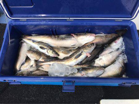 第二 つれたか丸 釣果