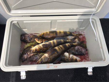 第二 つれたか丸 釣果