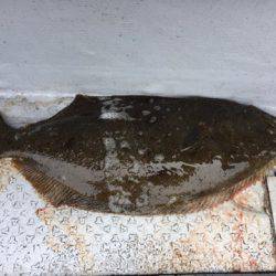 第二龍勢丸 釣果