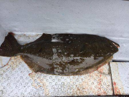 第二龍勢丸 釣果