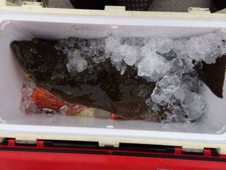 第二龍勢丸 釣果