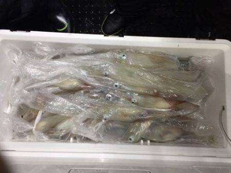 第二龍勢丸 釣果