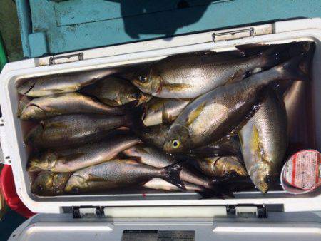 丸万釣船 釣果